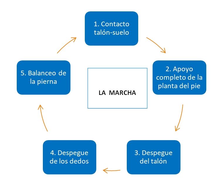 La importancia de andar en nuestra vida diaria