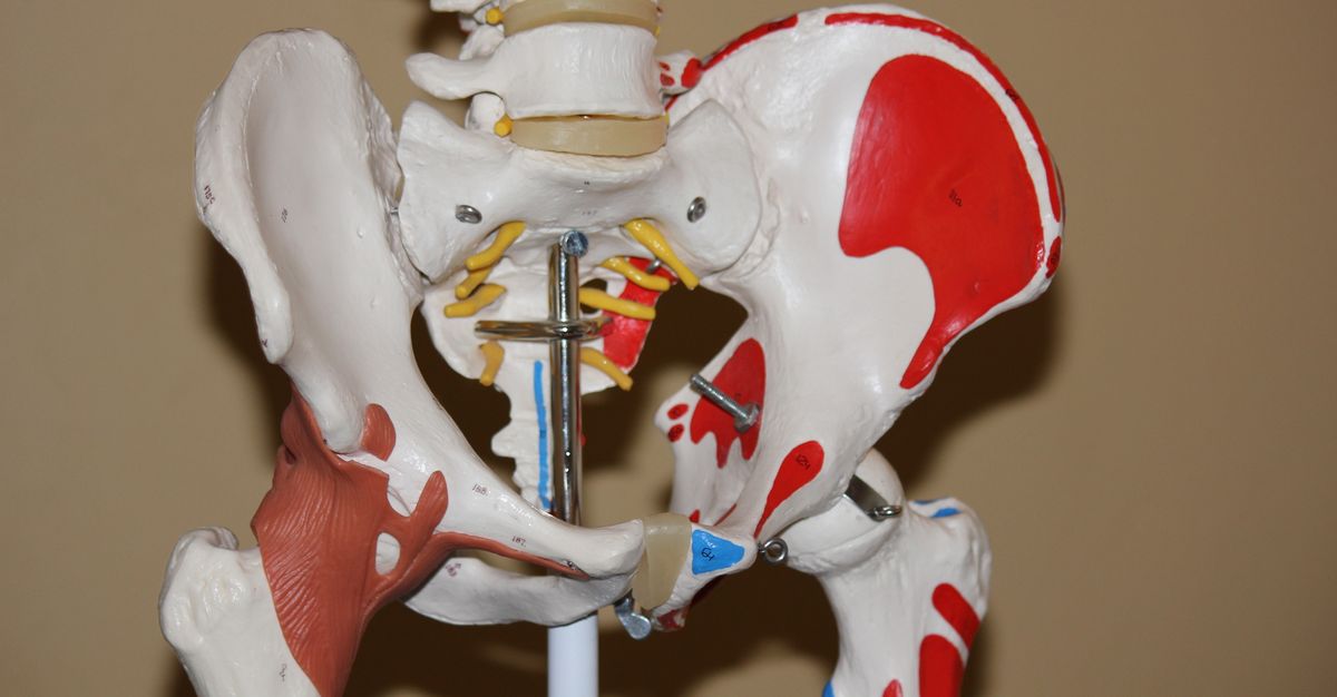 Sintomas y diagnostico del Musculo Piriforme o piramidal